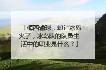 梅西输球，却让冰岛火了，冰岛队的队员生活中的职业是什么？