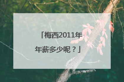 梅西2011年年薪多少呢？