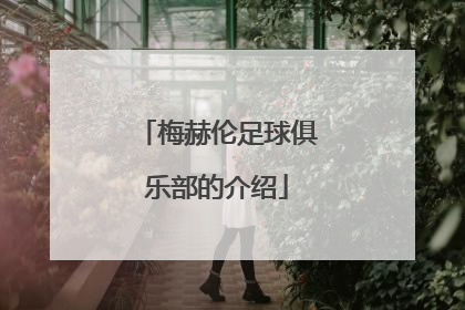 梅赫伦足球俱乐部的介绍