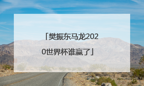 樊振东马龙2020世界杯谁赢了