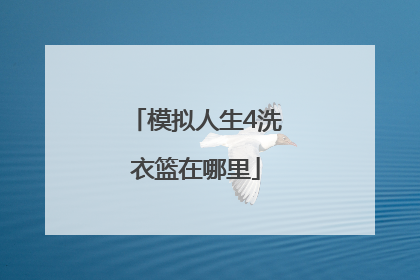 模拟人生4洗衣篮在哪里