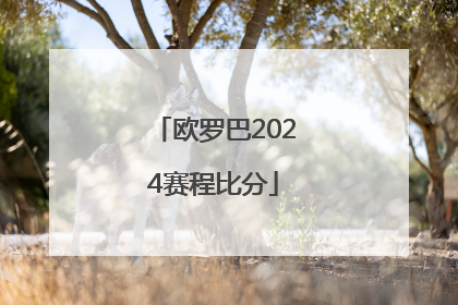 欧罗巴2024赛程比分