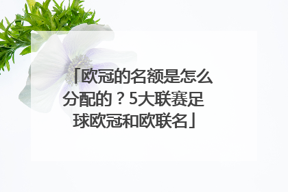 欧冠的名额是怎么分配的？5大联赛足球欧冠和欧联名