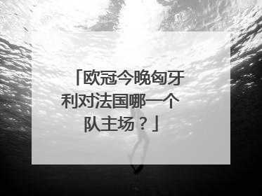 欧冠今晚匈牙利对法国哪一个队主场？