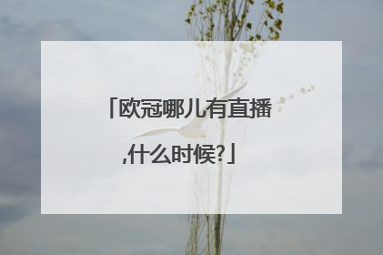 欧冠哪儿有直播,什么时候?