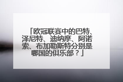 欧冠联赛中的巴特、泽尼特、迪纳摩、阿诺索、布加勒斯特分别是哪国的俱乐部？