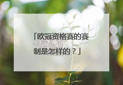 欧冠资格赛的赛制是怎样的？