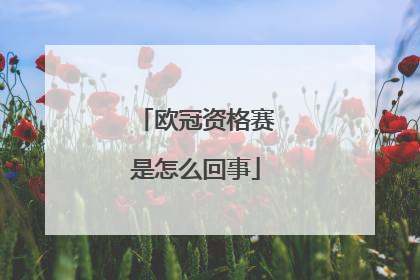 欧冠资格赛是怎么回事