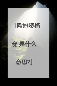 欧冠资格赛 是什么意思?