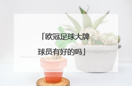 欧冠足球大牌球员有好的吗