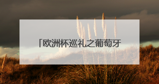 欧洲杯巡礼之葡萄牙：17年，C罗终于又遇到了黄金一代