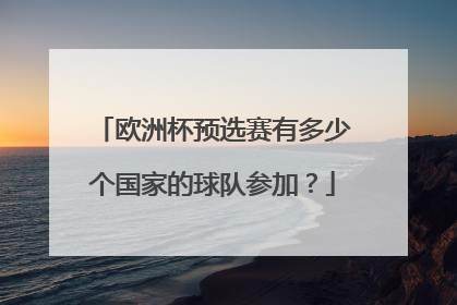 欧洲杯预选赛有多少个国家的球队参加？