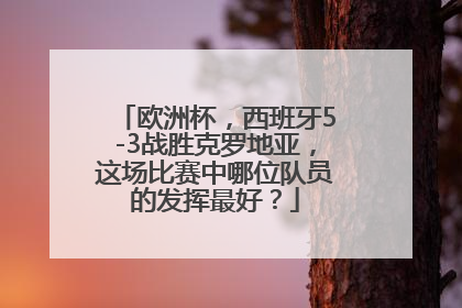 欧洲杯，西班牙5-3战胜克罗地亚，这场比赛中哪位队员的发挥最好？