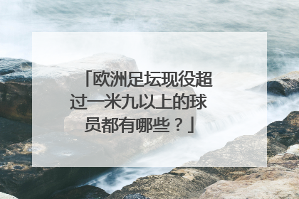 欧洲足坛现役超过一米九以上的球员都有哪些？