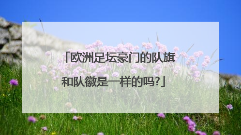 欧洲足坛豪门的队旗和队徽是一样的吗?