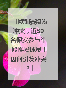 欧锦赛爆发冲突，近30名保安参与斗殴推搡球员！因何引发冲突？