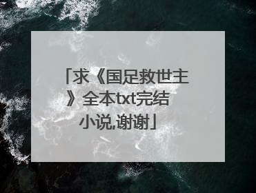 求《国足救世主》全本txt完结小说,谢谢