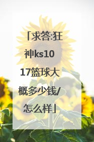 求答:狂神ks1017篮球大概多少钱/怎么样