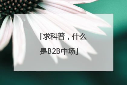 求科普，什么是B2B中场