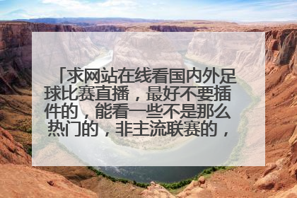 求网站在线看国内外足球比赛直播，最好不要插件的，能看一些不是那么热门的，非主流联赛的，没有电视直播