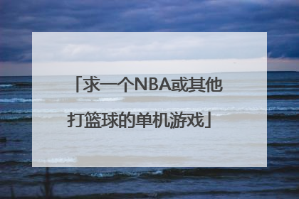 求一个NBA或其他打篮球的单机游戏