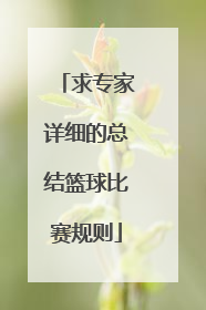 求专家详细的总结篮球比赛规则