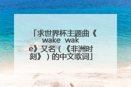 求世界杯主题曲《wake  wake》又名（《非洲时刻》）的中文歌词