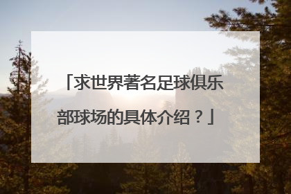 求世界著名足球俱乐部球场的具体介绍？