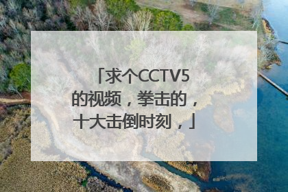 求个CCTV5的视频，拳击的，十大击倒时刻，
