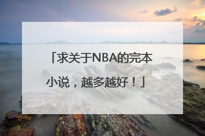 求关于NBA的完本小说，越多越好！