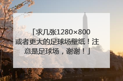 求几张1280×800或者更大的足球场壁纸！注意是足球场，谢谢！