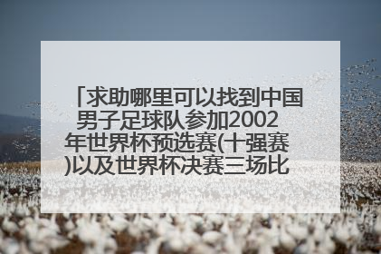 求助哪里可以找到中国男子足球队参加2002年世界杯预选赛(十强赛)以及世界杯决赛三场比赛的全部视频?