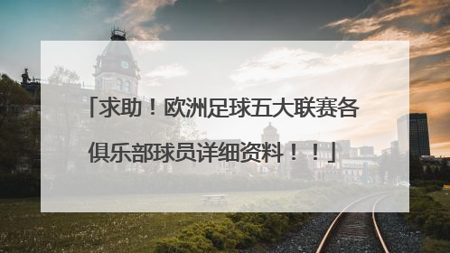 求助！欧洲足球五大联赛各俱乐部球员详细资料！！