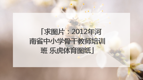 求图片：2012年河南省中小学骨干教师培训班 乐虎体育图纸