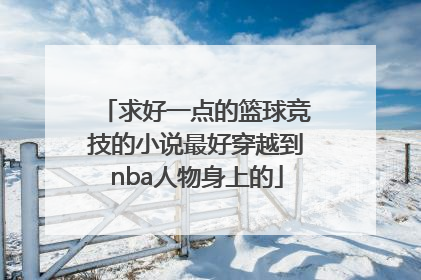 求好一点的篮球竞技的小说最好穿越到nba人物身上的