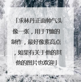 求林丹正面帅气头像一张，用于T恤的制作，最好像素高点，如果有关于他的其他的图片也欢迎