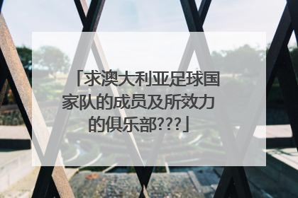 求澳大利亚足球国家队的成员及所效力的俱乐部???