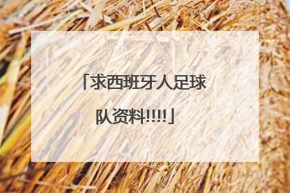 求西班牙人足球队资料!!!!