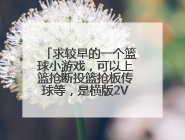 求较早的一个篮球小游戏，可以上篮抢断投篮抢板传球等，是横版2V2的还能买球员和球鞋，有解说。