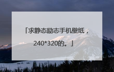 求静态励志手机壁纸，240*320的。