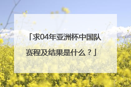 求04年亚洲杯中国队赛程及结果是什么？