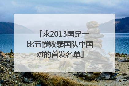 求2013国足一比五惨败泰国队中国对的首发名单