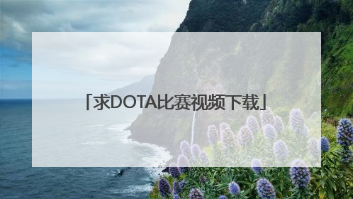 求DOTA比赛视频下载