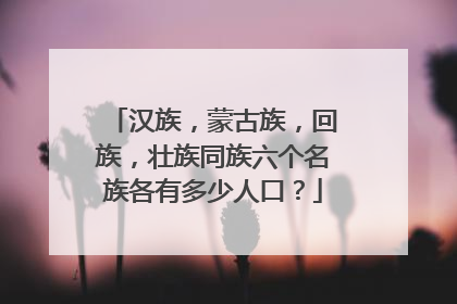 汉族，蒙古族，回族，壮族同族六个名族各有多少人口？