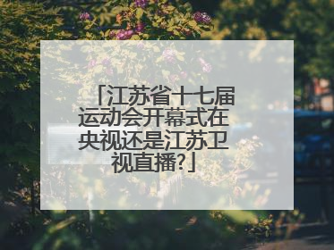 江苏省十七届运动会开幕式在央视还是江苏卫视直播?