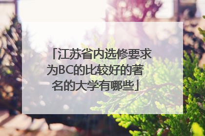 江苏省内选修要求为BC的比较好的著名的大学有哪些