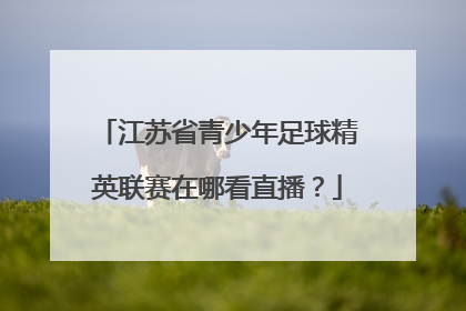 江苏省青少年足球精英联赛在哪看直播？