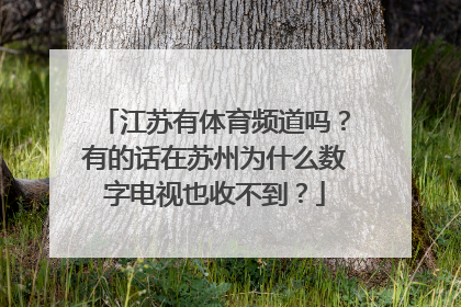 江苏有体育频道吗？有的话在苏州为什么数字电视也收不到？