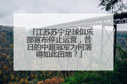 江苏苏宁足球俱乐部宣布停止运营，昔日的中超冠军为何落得如此田地？