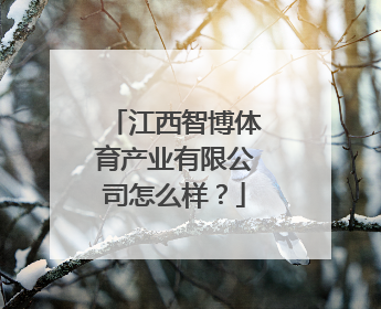 江西智博体育产业有限公司怎么样？